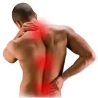 Fibro Forte - bewezen natuurlijk supplement om fibromyalgie klachten te verminderen - 2x 60 capsules